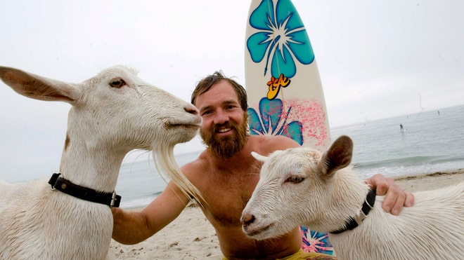 cabras surfistas1.jpg